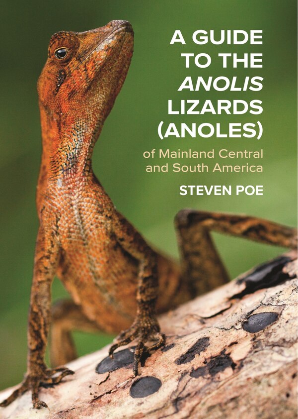 A Guide to the Anolis Lizards (Anoles) of Mainland Central and South America by Steven Poe, Paperback | Indigo Chapters