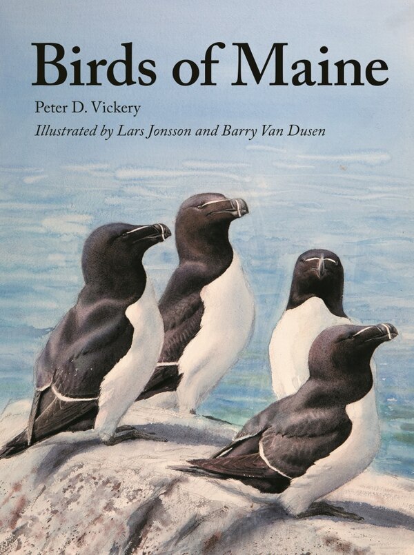 Birds Of Maine by Peter Vickery, Hardcover | Indigo Chapters