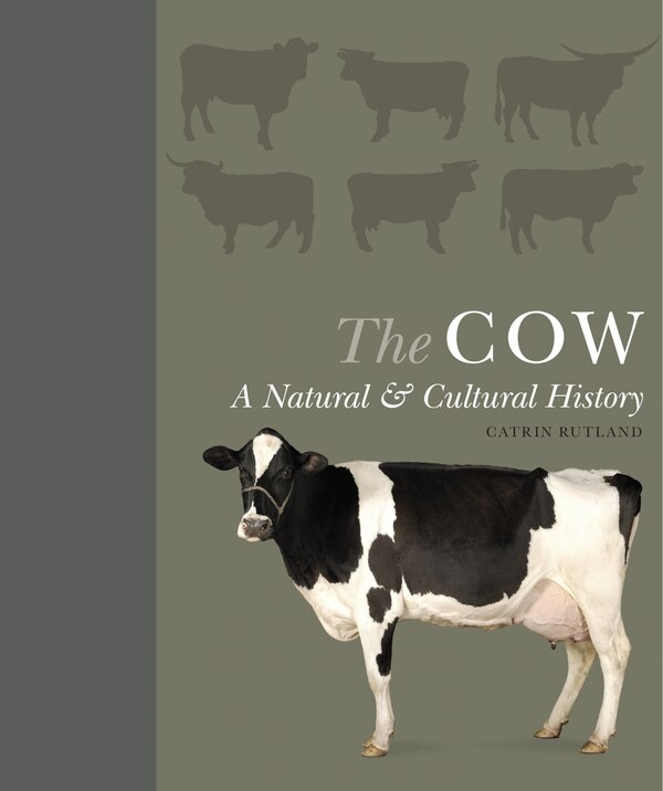 The Cow by Catrin Rutland, Hardcover | Indigo Chapters