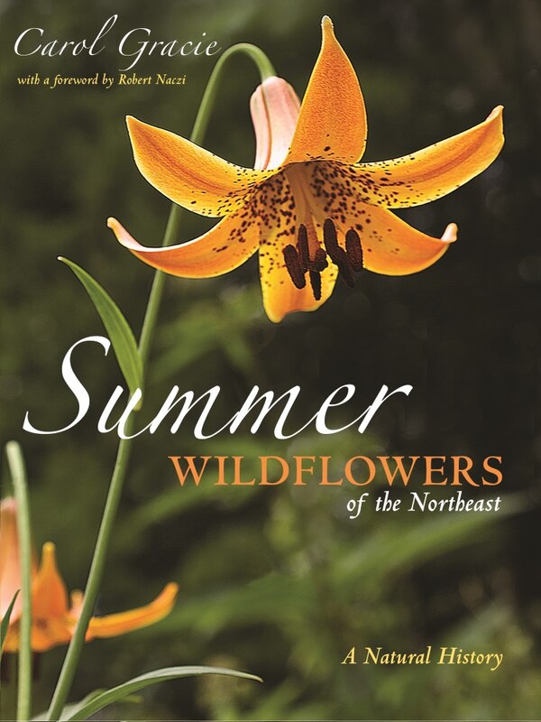 Summer Wildflowers Of The Northeast by Carol Gracie, Paperback | Indigo Chapters