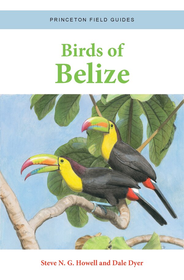 Birds of Belize by Steve N. G. Howell, Paperback | Indigo Chapters