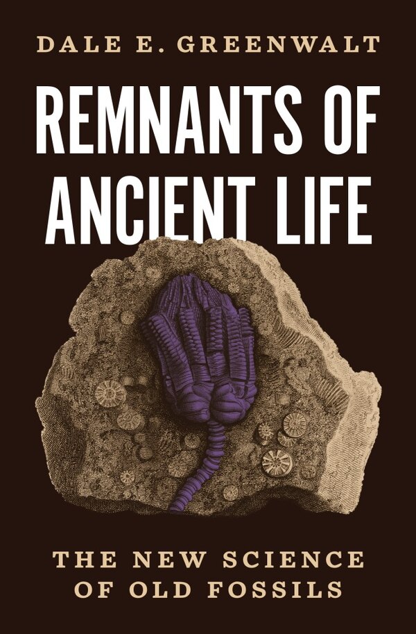Remnants of Ancient Life by Dale E. Greenwalt, Paperback | Indigo Chapters