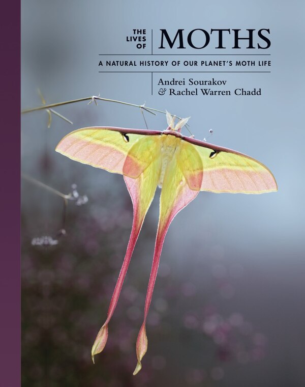 The Lives Of Moths by Andrei Sourakov, Hardcover | Indigo Chapters