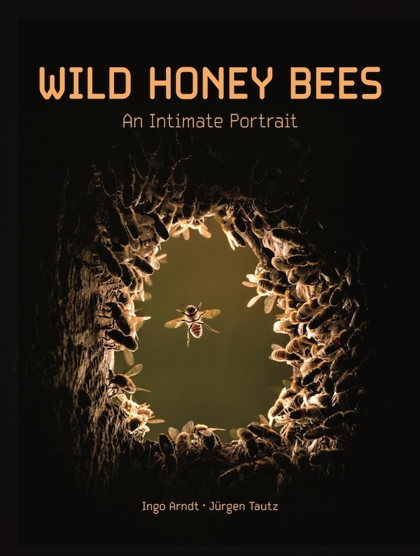 Wild Honey Bees by Ingo Arndt, Hardcover | Indigo Chapters