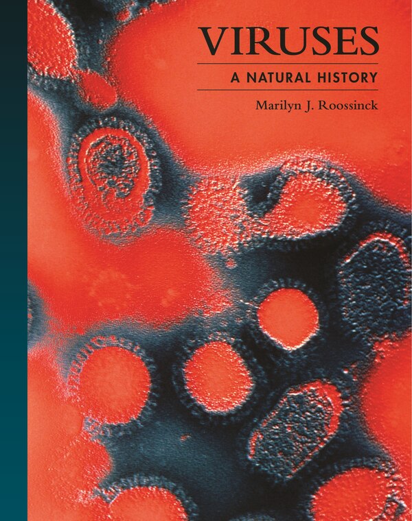 Viruses by Marilyn J. Roossinck, Hardcover | Indigo Chapters