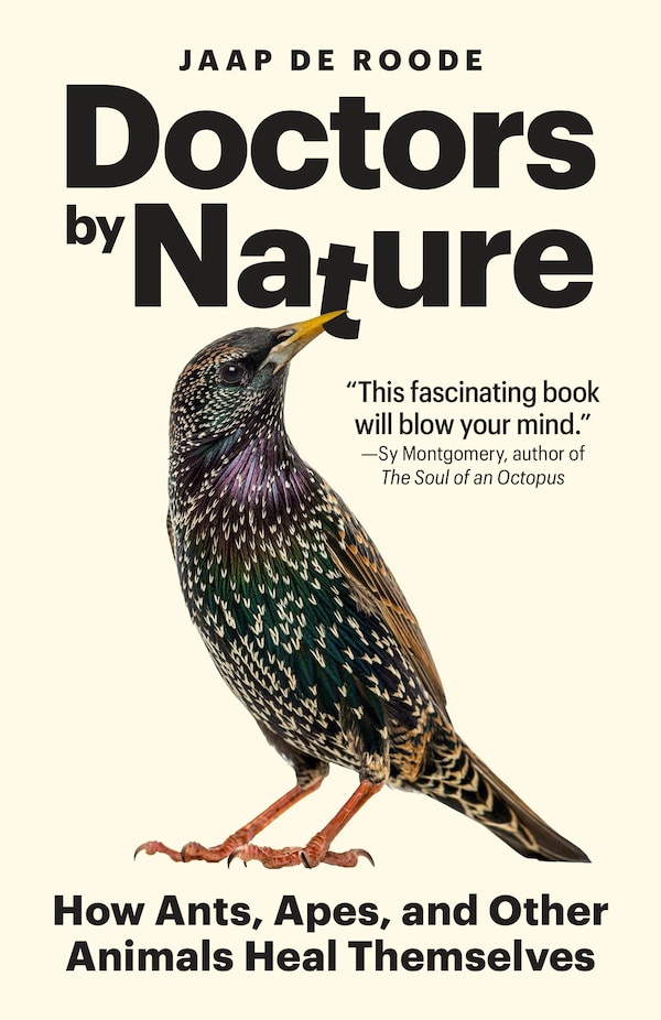 Doctors by Nature by Jaap de Roode, Paperback | Indigo Chapters