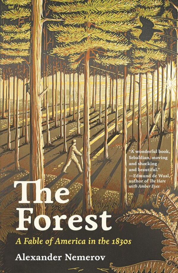 The Forest by Alexander Nemerov, Hardcover | Indigo Chapters