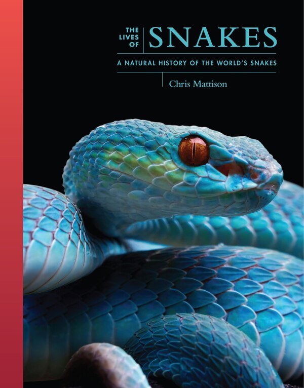 The Lives of Snakes by Chris Mattison, Hardcover | Indigo Chapters