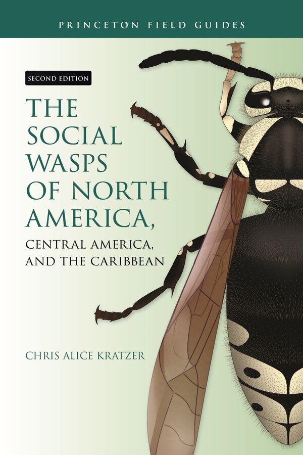 The Social Wasps of North America Central America and the Caribbean Second Edition by Chris Alice Kratzer, Paperback | Indigo Chapters