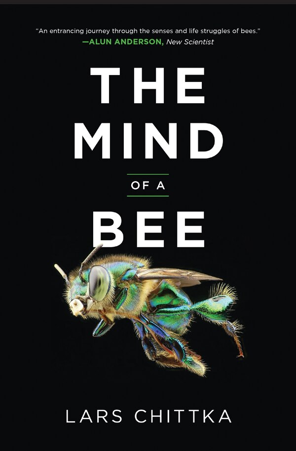 The Mind of a Bee by Lars Chittka, Paperback | Indigo Chapters