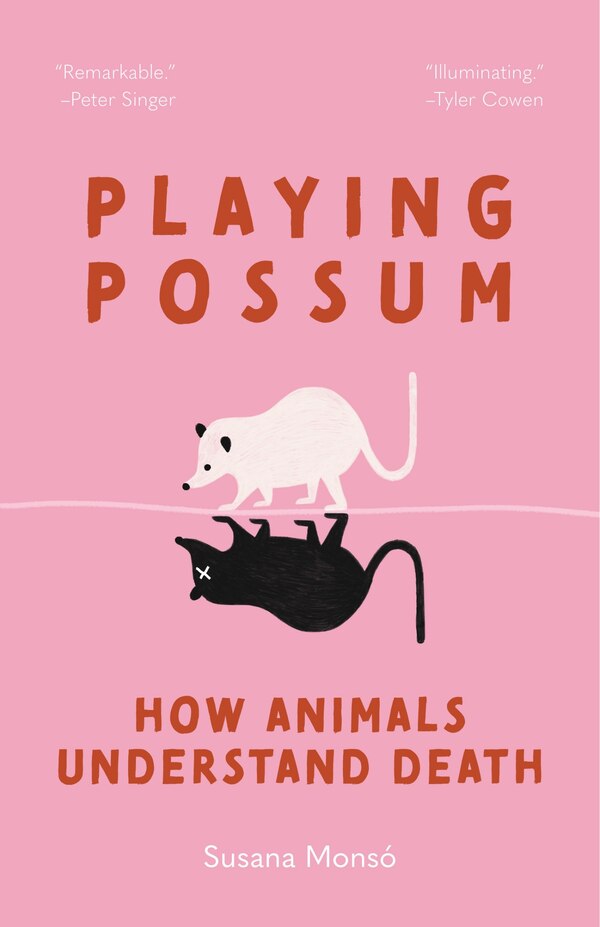 Playing Possum by Susana Monsó, Paperback | Indigo Chapters