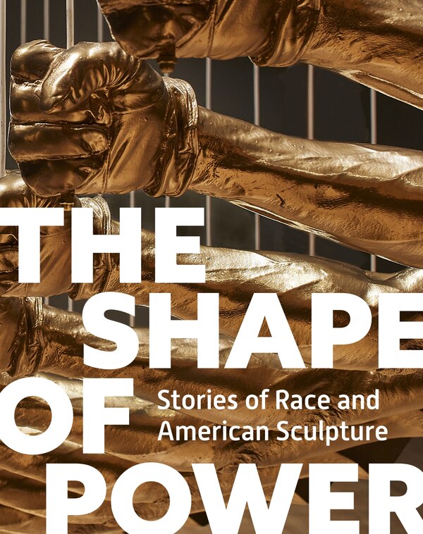 The Shape of Power by Karen Lemmey, Hardcover | Indigo Chapters