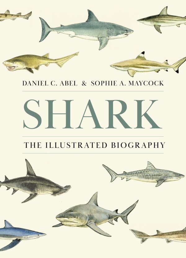 Shark by Daniel Abel, Hardcover | Indigo Chapters