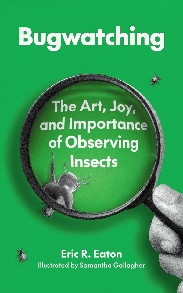 Bugwatching by Eric R. Eaton, Paperback | Indigo Chapters