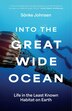 Into the Great Wide Ocean by Sönke Johnsen, Paperback | Indigo Chapters