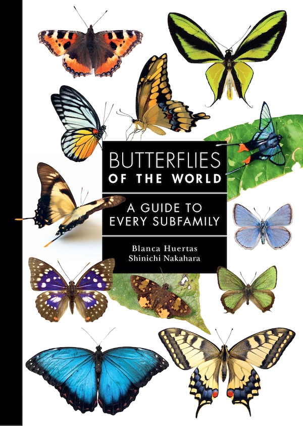 Butterflies of the World by Blanca Huertas, Hardcover | Indigo Chapters