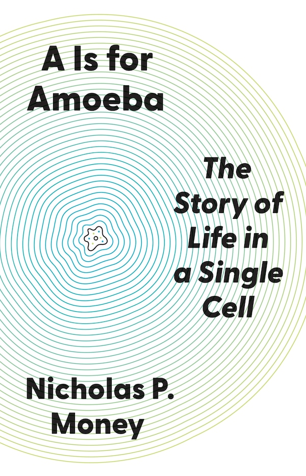A Is for Amoeba by Nicholas P. Money, Hardcover | Indigo Chapters