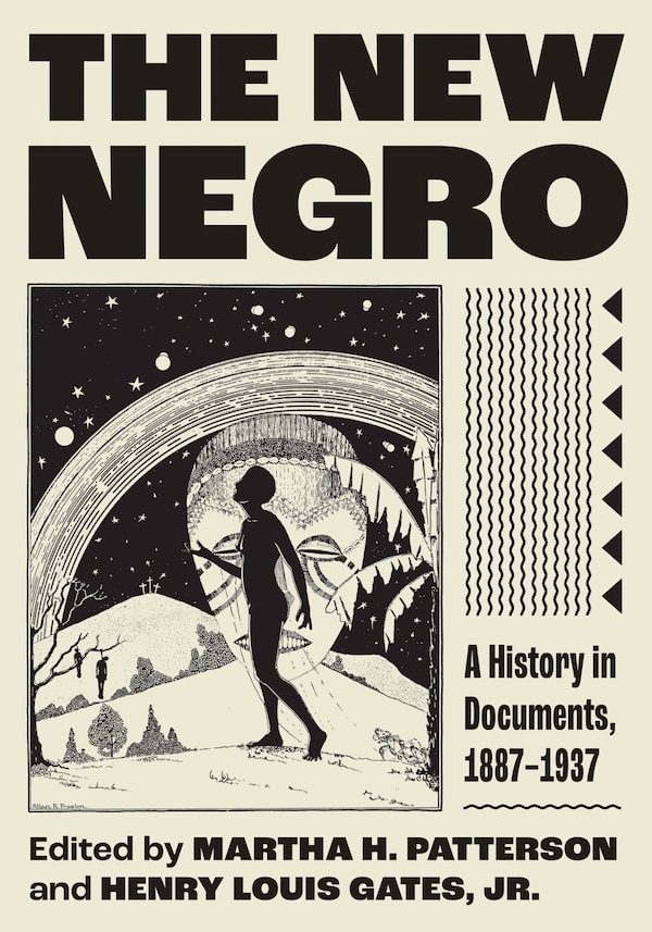 The New Negro by Martha H. Patterson, Hardcover | Indigo Chapters