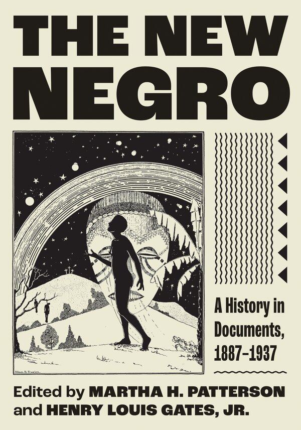 The New Negro by Martha H. Patterson, Paperback | Indigo Chapters
