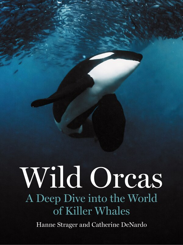 Wild Orcas by Hanne Strager, Hardcover | Indigo Chapters