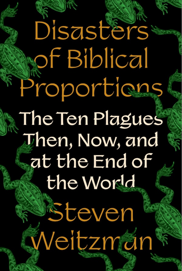 Disasters of Biblical Proportions by Steven Weitzman, Hardcover | Indigo Chapters