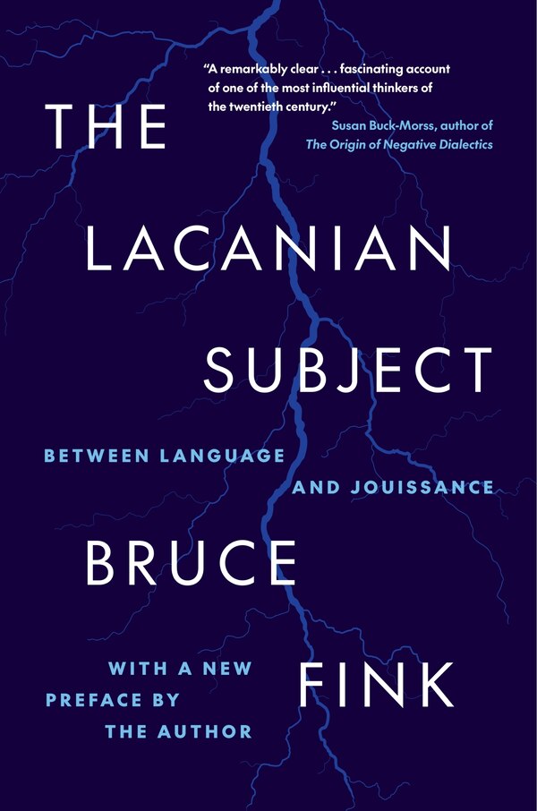 The Lacanian Subject by Bruce Fink, Paperback | Indigo Chapters