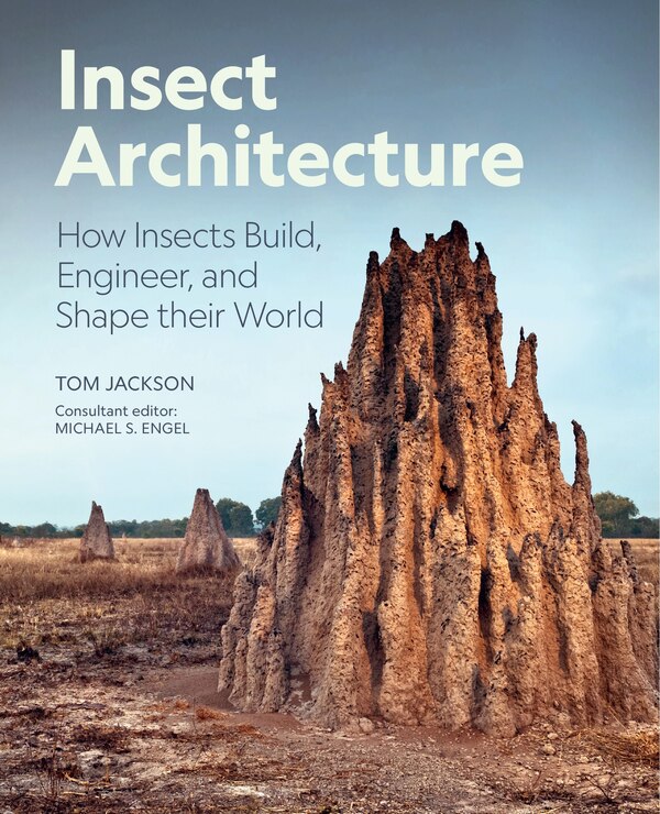 Insect Architecture by Michael S. Engel, Hardcover | Indigo Chapters