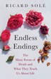 Endless Endings by Ricard Solé, Hardcover | Indigo Chapters