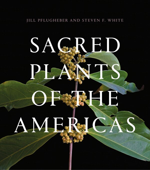 Sacred Plants of the Americas by Jill Pflugheber, Hardcover | Indigo Chapters