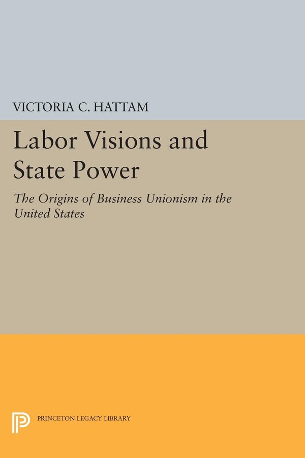Labor Visions and State Power by Victoria C. Hattam, Paperback | Indigo Chapters