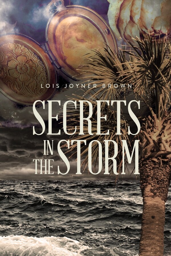 Secrets in the Storm by Lois V Brown, Paperback | Indigo Chapters