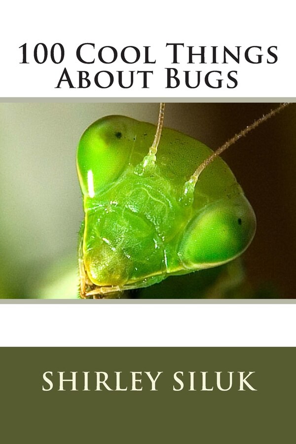 100 Cool Things About Bugs by Shirley Siluk, Paperback | Indigo Chapters