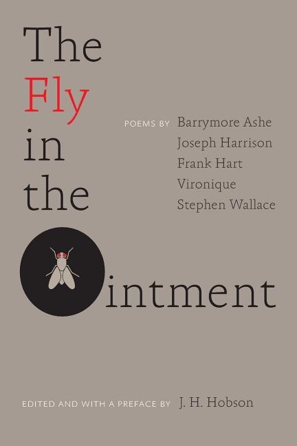 The Fly in the Ointment by Barrymore Ashe, Paperback | Indigo Chapters