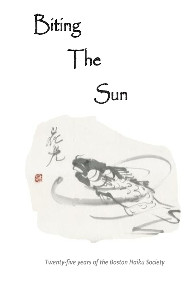 Biting The Sun by John Ziemba, Paperback | Indigo Chapters