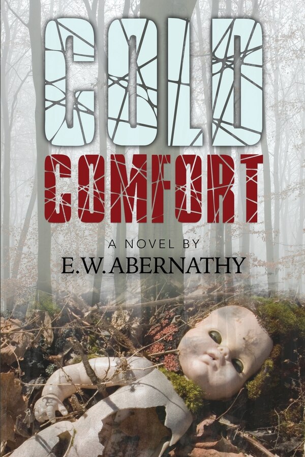 Cold Comfort by E W Abernathy, Paperback | Indigo Chapters