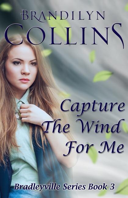 Capture The Wind For Me by Brandilyn Collins, Paperback | Indigo Chapters