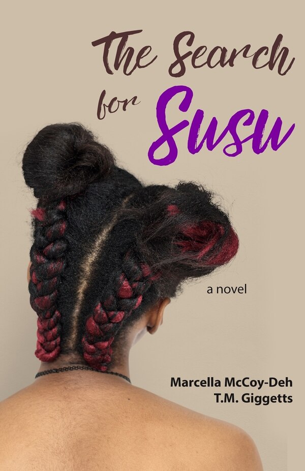 The Search for Susu by T M Giggetts, Paperback | Indigo Chapters
