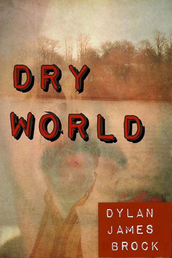 Dry World by Dylan James Brock, Paperback | Indigo Chapters