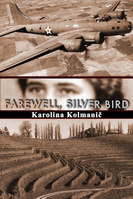 Farewell Silver Bird by Karolina Kolmanic, Paperback | Indigo Chapters