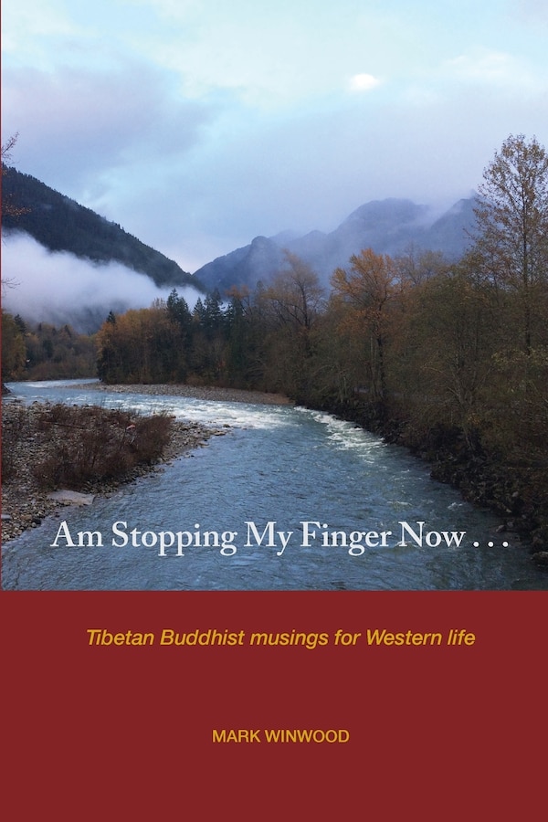 Am Stopping My Finger Now by Mark S. Winwood, Paperback | Indigo Chapters