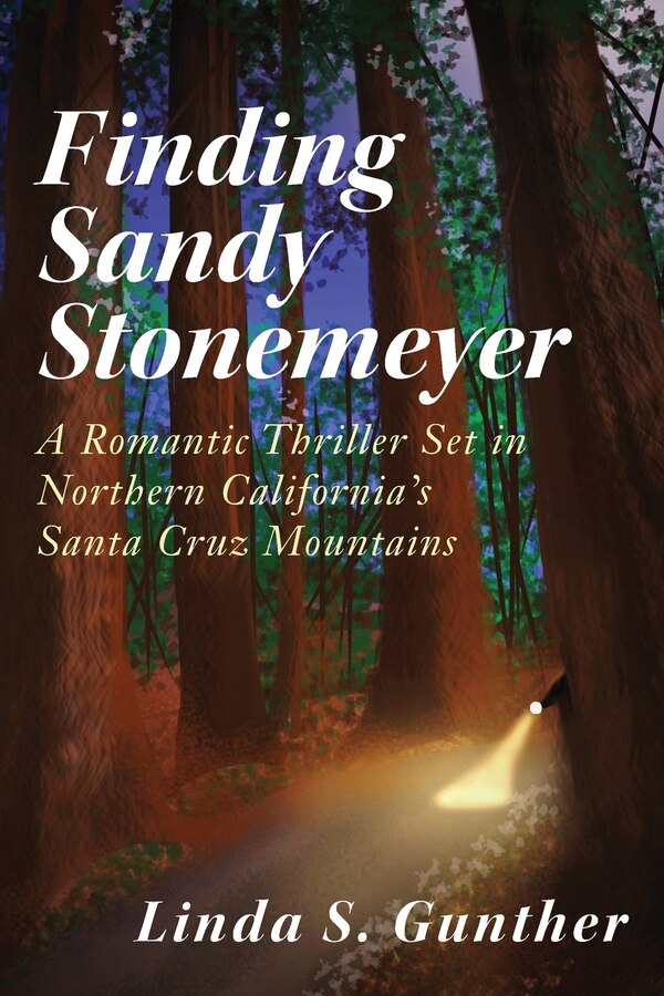 Finding Sandy Stonemeyer by Linda S Gunther, Paperback | Indigo Chapters