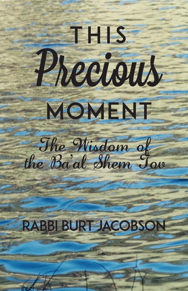 This Precious Moment by Rabbi Burt Jacobson, Paperback | Indigo Chapters