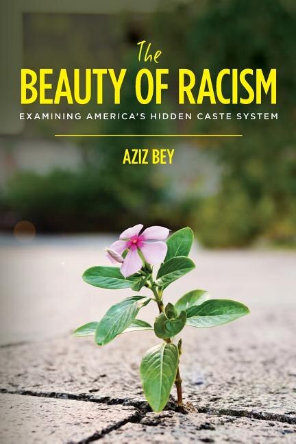 The Beauty of Racism by Aziz Bey, Paperback | Indigo Chapters
