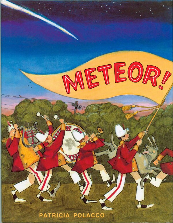 Meteor by Patricia Polacco, Paperback | Indigo Chapters