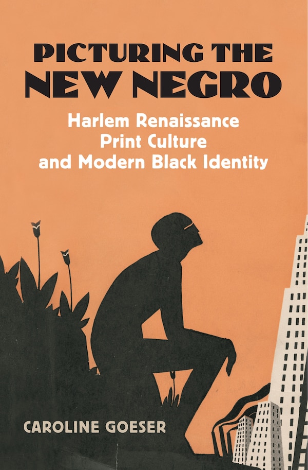 Picturing the New Negro by Caroline Goeser, Hardcover | Indigo Chapters