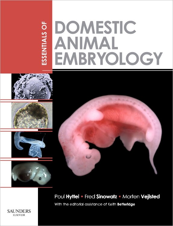 Essentials of Domestic Animal Embryology by Poul Hyttel, Paperback | Indigo Chapters