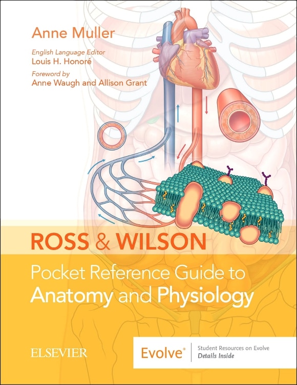 Ross And Wilson Pocket Reference Guide To Anatomy And Physiology by Anne Muller, Spiral Bound | Indigo Chapters
