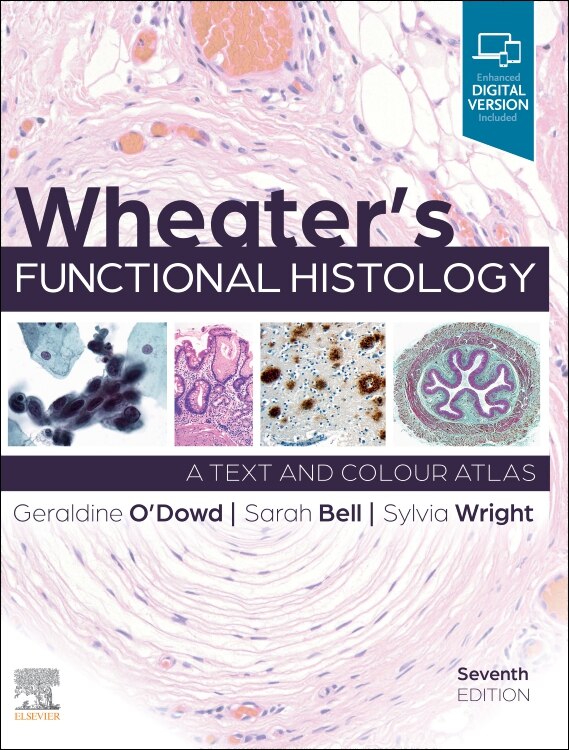 Wheater's Functional Histology by Sylvia Wright, Paperback | Indigo Chapters