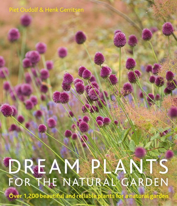 Dream Plants For The Natural Garden by Piet Oudolf, Paperback | Indigo Chapters