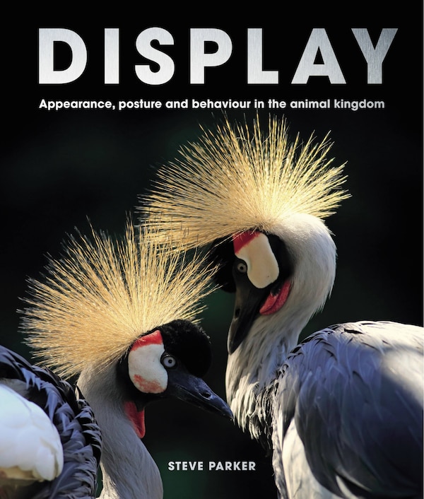 Display by Steve Parker, Hardcover | Indigo Chapters